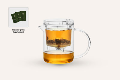 Kleine Theepot met Filter voor Losse Thee - Starter
